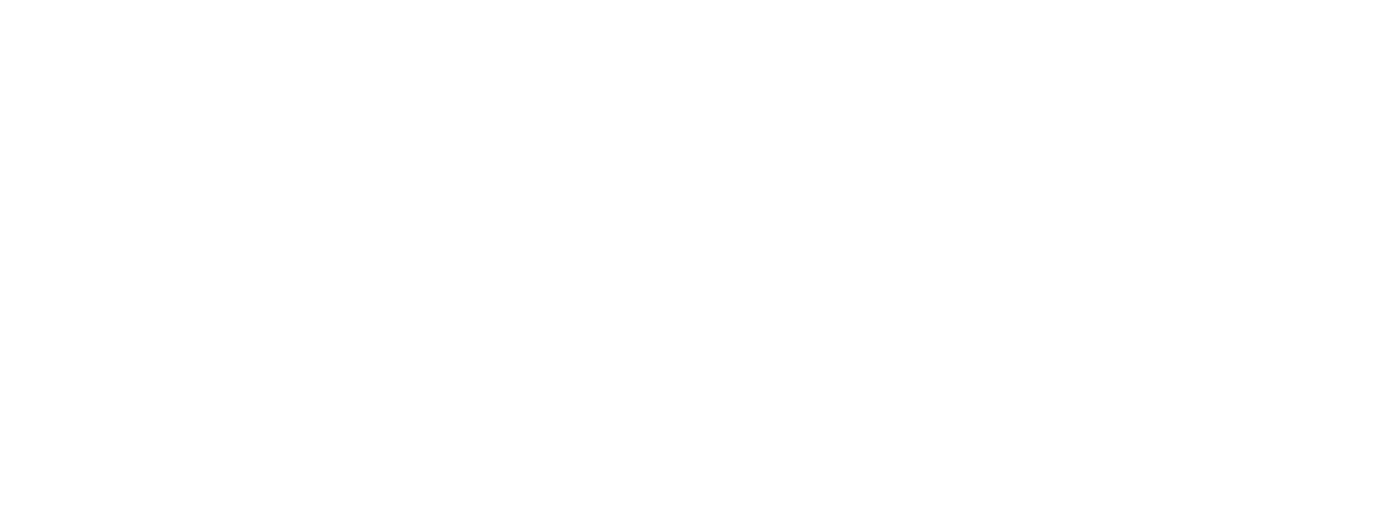 tandav systems